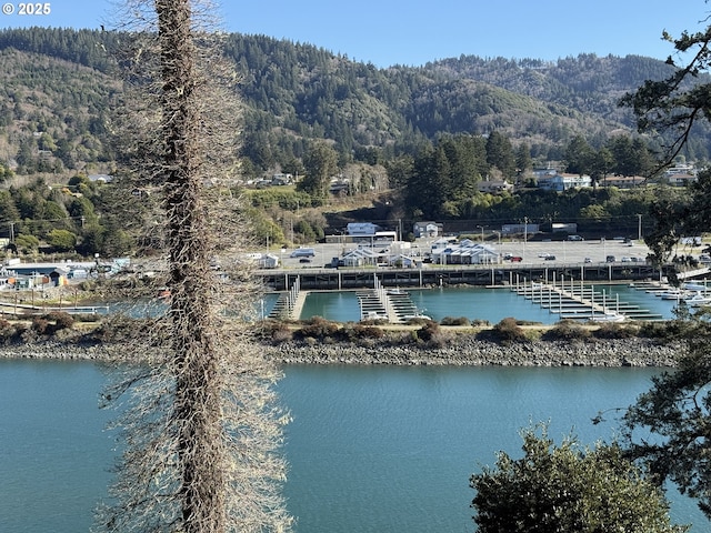 property view of water with a mountain view