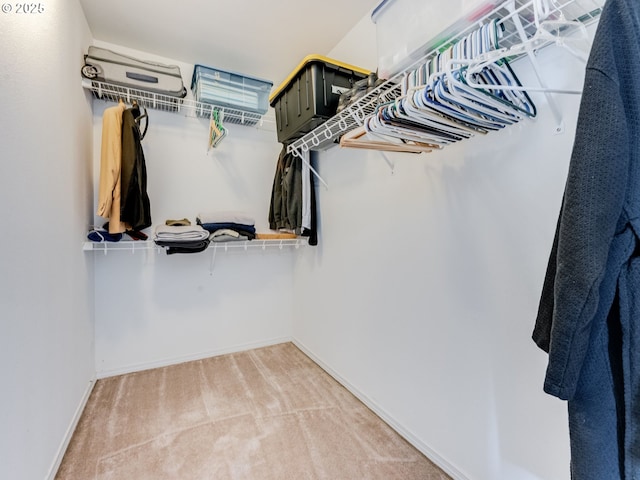 walk in closet with carpet floors