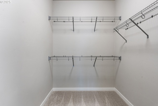 6429 SE Provence St, Hillsboro, OR 97123 - walk in closet featuring carpet