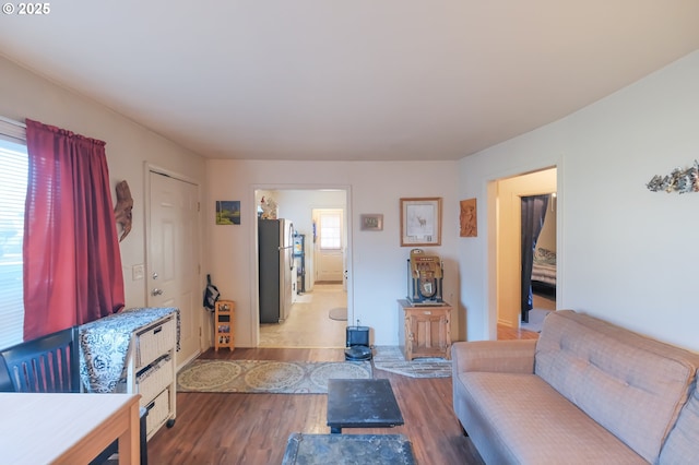 living room with hardwood / wood-style floors