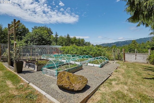 40920 NW Maple Ridge Rd, Woodland, WA 98674 - view of property's community featuring a garden, a yard, and a mountain view
