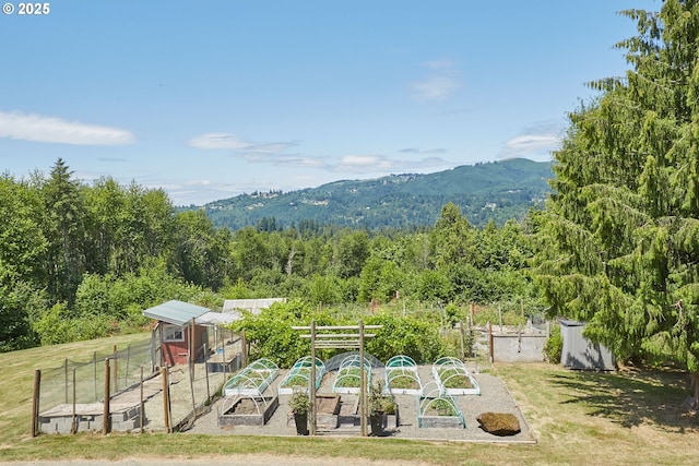 40920 NW Maple Ridge Rd, Woodland, WA 98674 - view of yard featuring a vegetable garden, an outdoor structure, a forest view, and a mountain view
