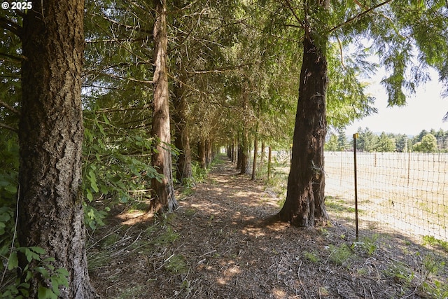 40920 NW Maple Ridge Rd, Woodland, WA 98674 - view of nature