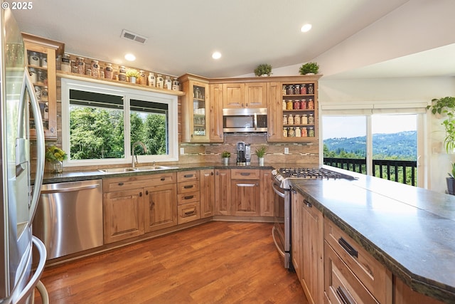 40920 NW Maple Ridge Rd, Woodland, WA 98674 - kitchen featuring stainless steel appliances, dark countertops, plenty of natural light, dark wood finished floors, and vaulted ceiling