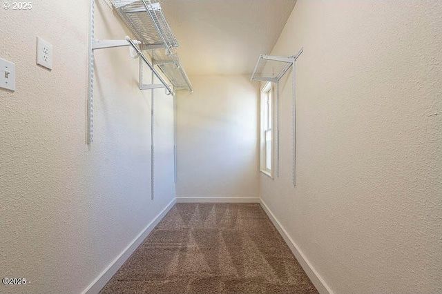 walk in closet with carpet