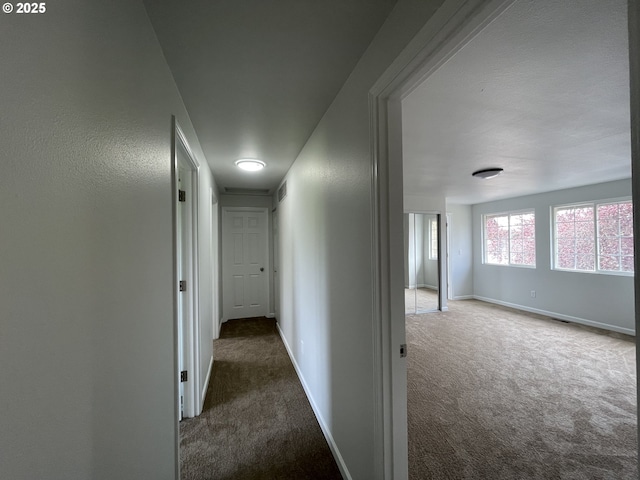 5145 Trevon St, Eugene, OR 97402 - hall with carpet and baseboards