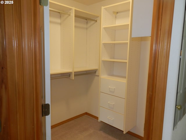 31811 NW Belgium Ct, North Plains, OR 97133 - spacious closet with carpet flooring