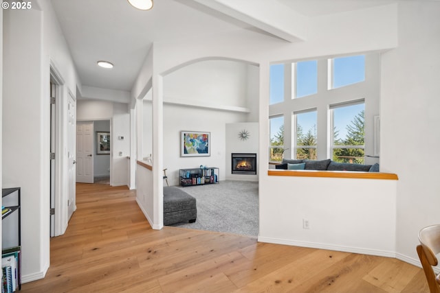 interior space featuring baseboards, a high ceiling, and wood-type flooring