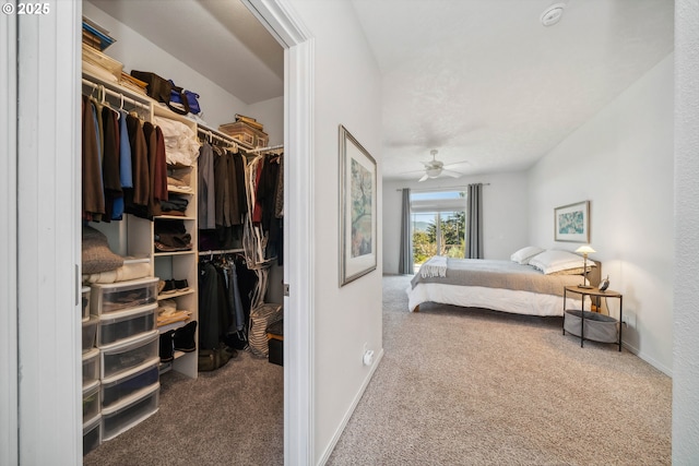 carpeted bedroom with a closet, baseboards, and a walk in closet