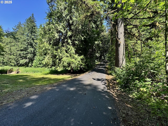 24035 SW Mountain Creek Rd, Sherwood, OR 97140 - view of street featuring a wooded view