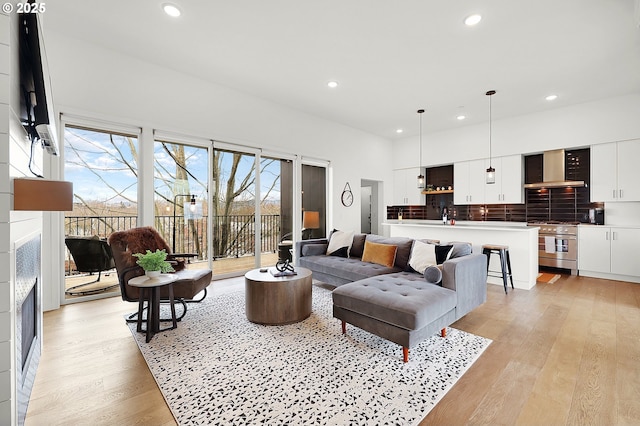 living room with light hardwood / wood-style floors