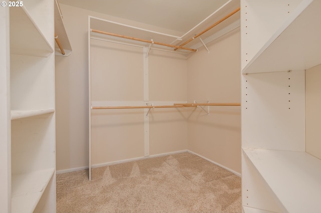 spacious closet with carpet flooring