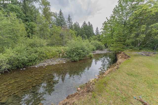 217 Mulkey Ln, Ariel, WA 98603 - water view with a heavily wooded area