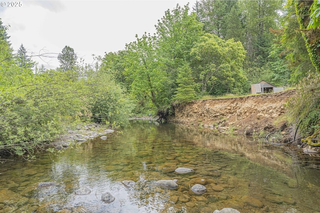 217 Mulkey Ln, Ariel, WA 98603 - water view featuring a heavily wooded area