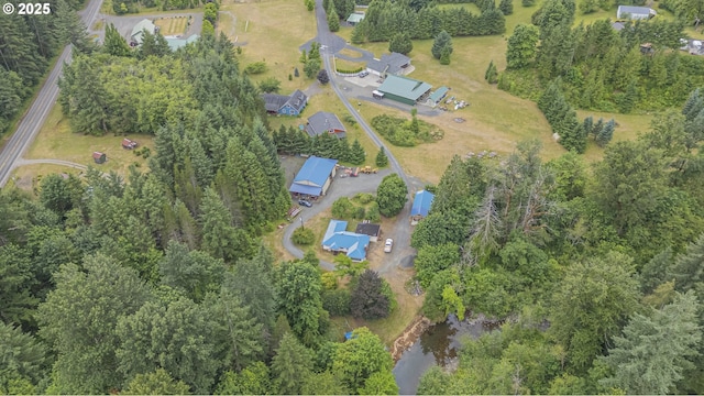 217 Mulkey Ln, Ariel, WA 98603 - aerial overview of property's location featuring a tree filled landscape