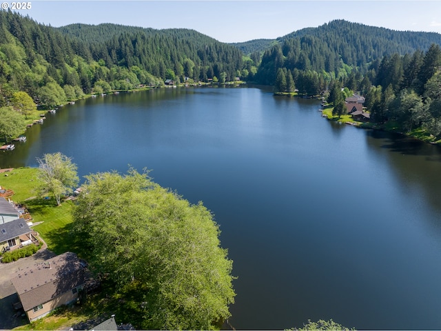 10268 Field Crest Dr, Birkenfeld, OR 97016 - water view featuring a heavily wooded area and mountains