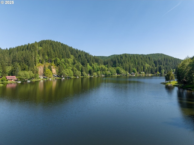 10268 Field Crest Dr, Birkenfeld, OR 97016 - water view with a heavily wooded area