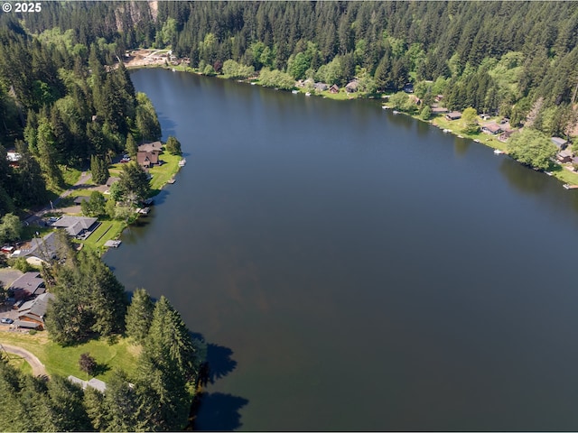 10268 Field Crest Dr, Birkenfeld, OR 97016 - aerial view of property's location featuring a forest and a large body of water