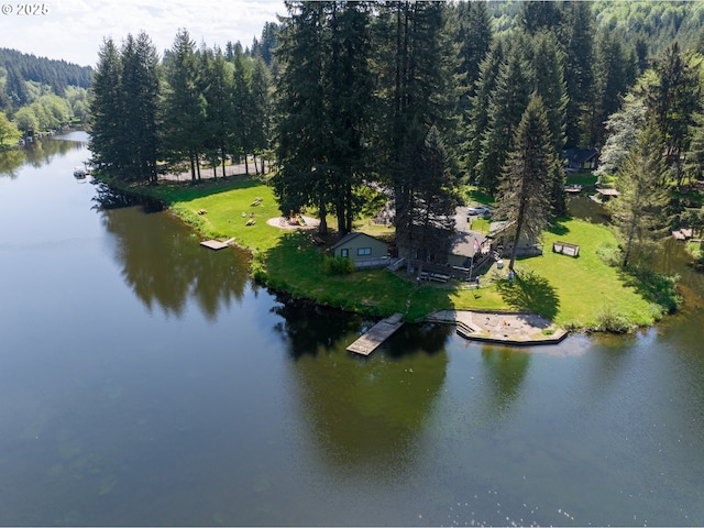 10268 Field Crest Dr, Birkenfeld, OR 97016 - drone / aerial view of a heavily wooded area and a nearby body of water