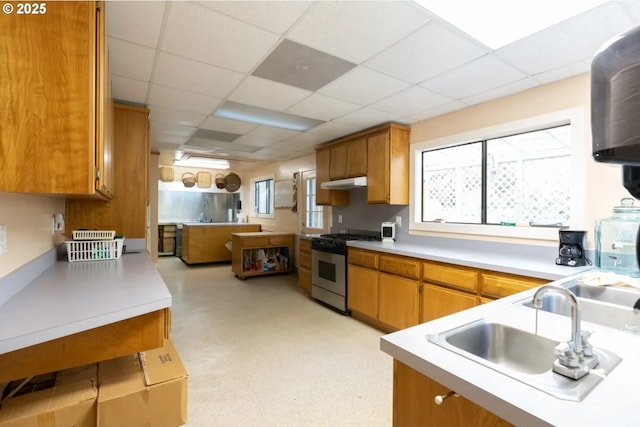 kitchen featuring sink, a paneled ceiling, stainless steel range with gas cooktop, and a wealth of natural light