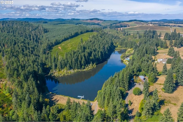 birds eye view of property with a water and mountain view