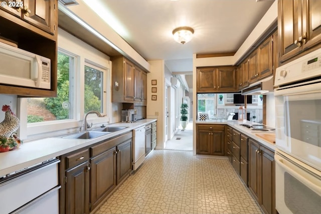 kitchen with sink, a wealth of natural light, and white appliances