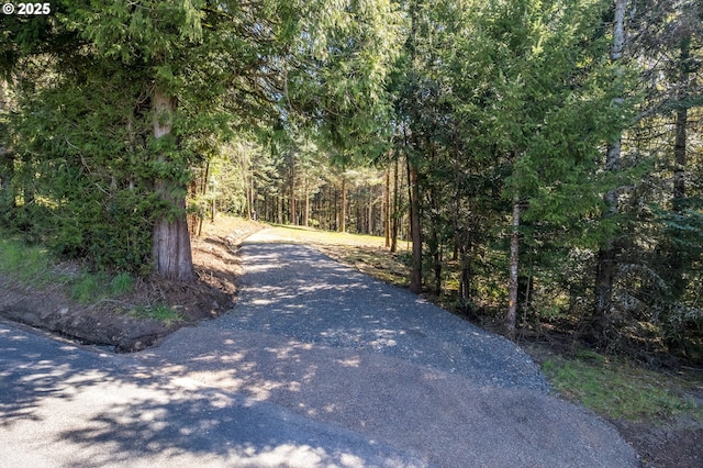 0 Bunker Hill Rd, Longview, WA 98632