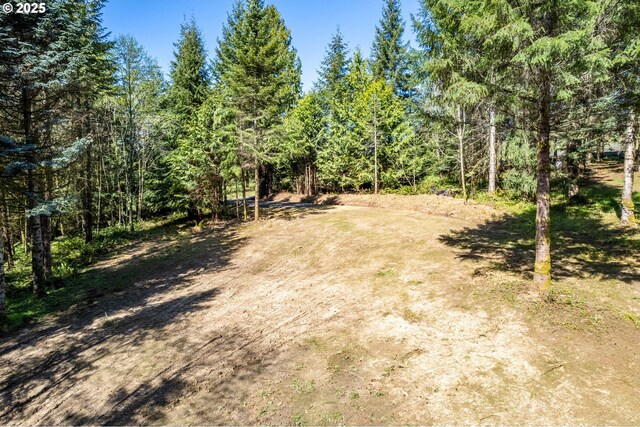 0 Bunker Hill Rd, Longview, WA 98632