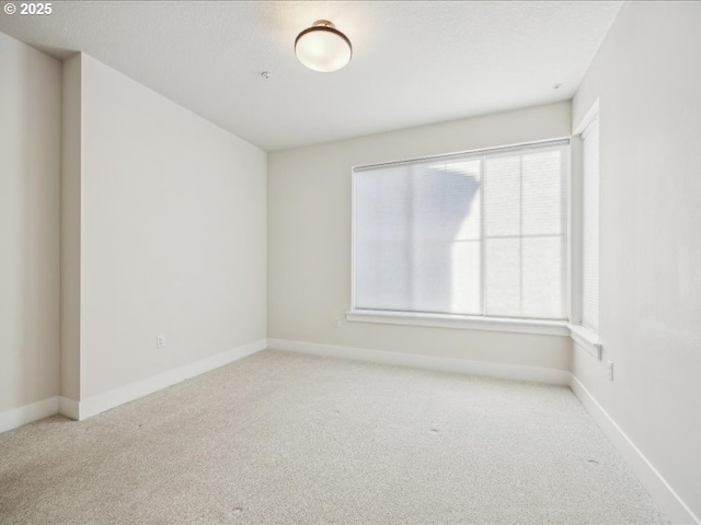 spare room with light carpet