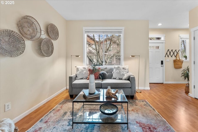 living room featuring wood-type flooring