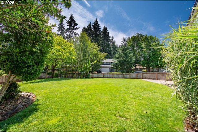 14510 NE 50th St, Vancouver, WA 98682 - view of fenced backyard