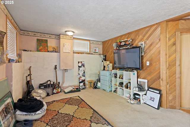 410 W Jefferson St, Carlton, OR 97111 - below grade area with a textured ceiling, carpet, wooden walls, and concrete block wall