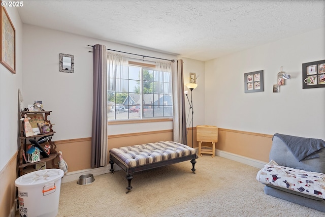 410 W Jefferson St, Carlton, OR 97111 - living area with carpet and a textured ceiling