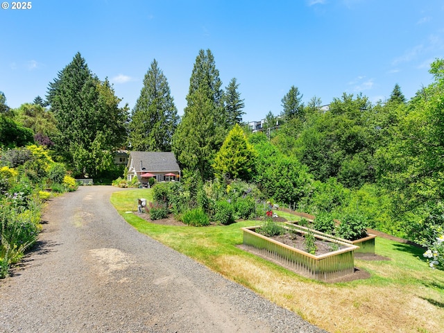 5665 Bonita Rd, Lake Oswego, OR 97035 - view from above of property