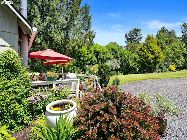5665 Bonita Rd, Lake Oswego, OR 97035 - view of yard featuring view of wooded area