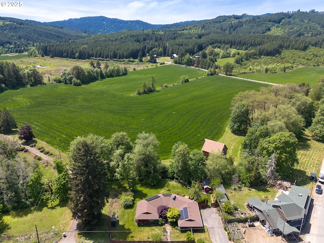 overview of rural landscape featuring a forest and mountains