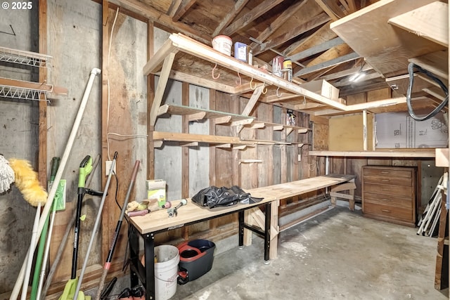 below grade area with a workshop area