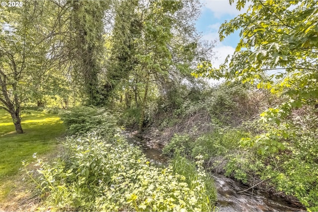 view of nature