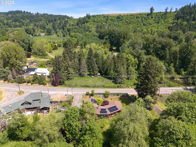 bird's eye view of a heavily wooded area