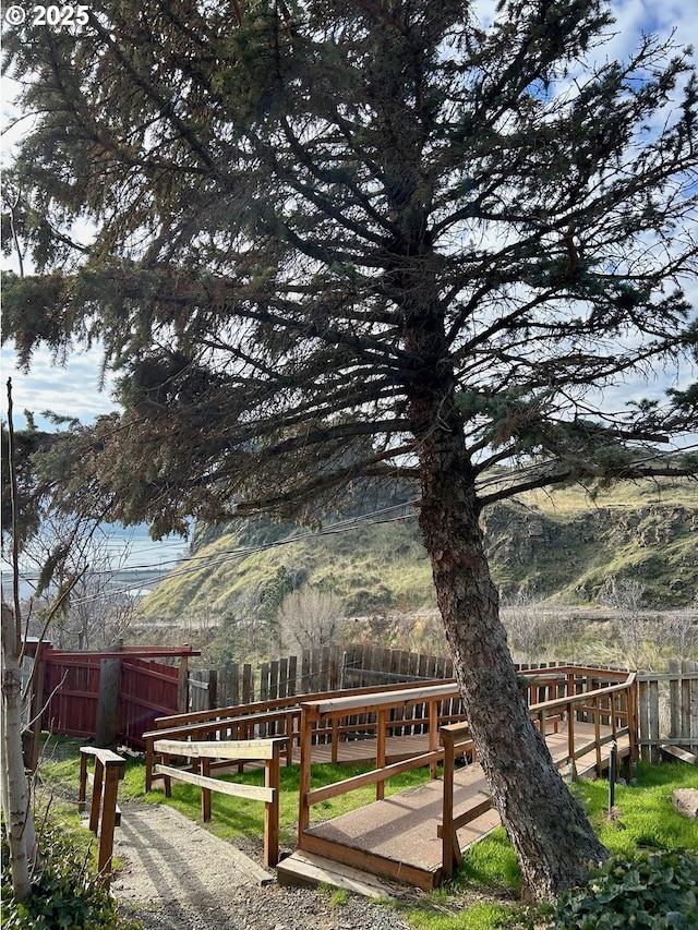 view of yard featuring a mountain view