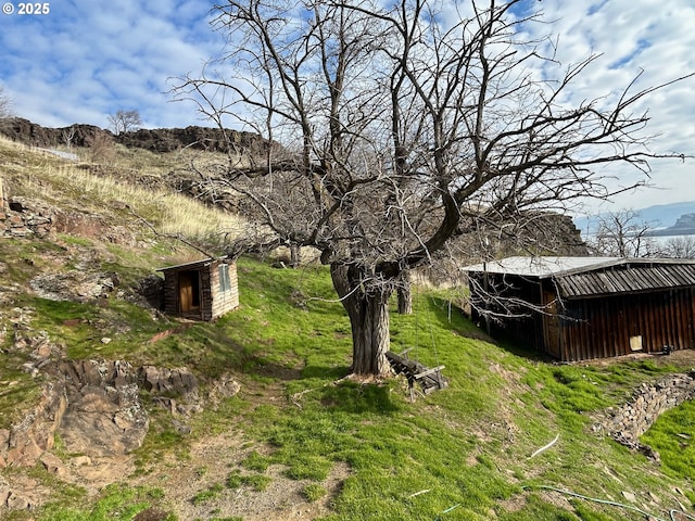 view of yard with an outdoor structure and a mountain view