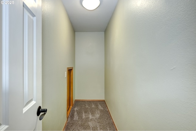 hallway featuring carpet flooring