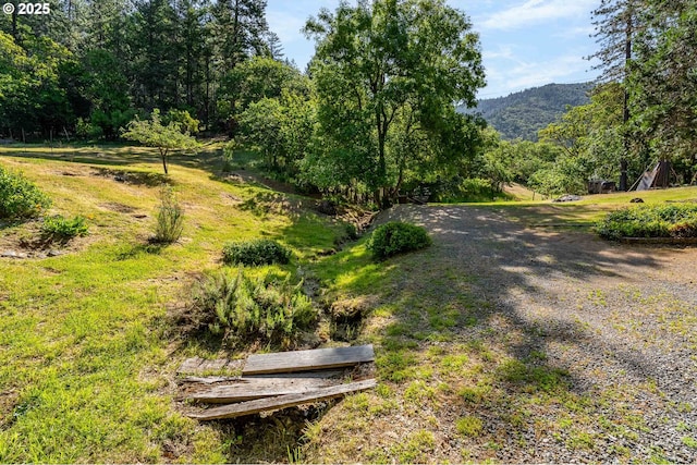 905 Summit Loop, Grants Pass, OR 97527 - view of yard with a forest view and a mountain view