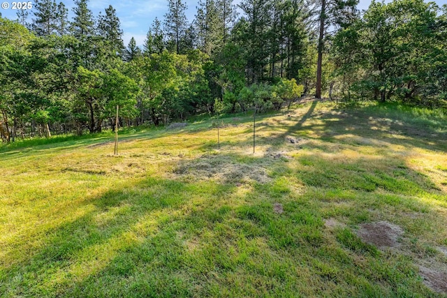 905 Summit Loop, Grants Pass, OR 97527 - view of yard with a forest view