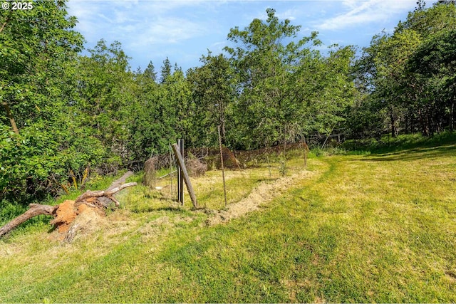905 Summit Loop, Grants Pass, OR 97527 - view of grassy yard featuring a forest view