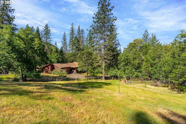 905 Summit Loop, Grants Pass, OR 97527 - view of grassy yard with a view of trees