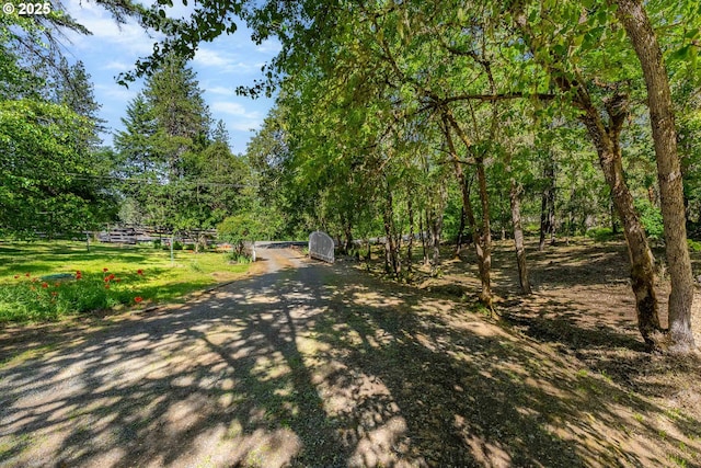 905 Summit Loop, Grants Pass, OR 97527 - view of dirt / gravel road with a forest view