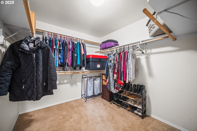 walk in closet with carpet