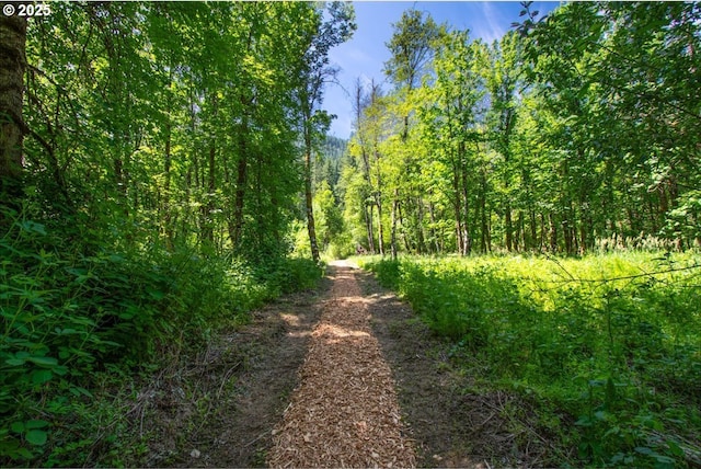 662 Cannavina Rd, Carson, WA 98610 - view of tree filled area