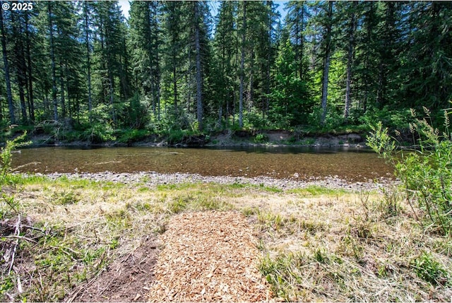 662 Cannavina Rd, Carson, WA 98610 - view of yard
